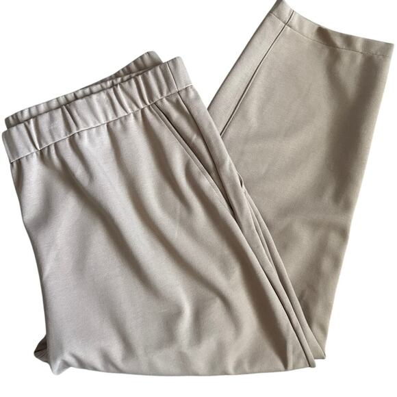 Eileen Fisher Plus Flex Tencel Ponte Slouchy Pant Beige Size 1X - Picture 6 of 10
